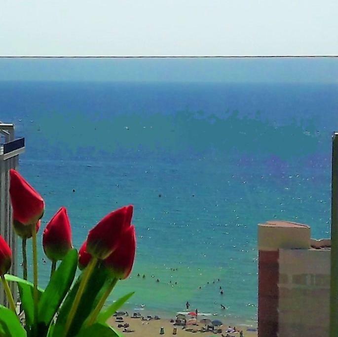Mirador Apart Κάλπε Εξωτερικό φωτογραφία